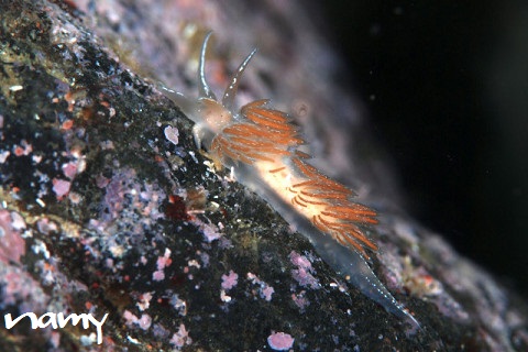 f0046614_13585537.jpg