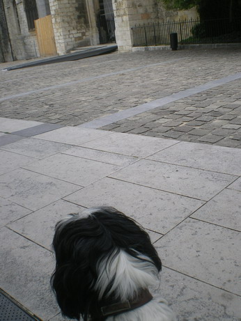 c0124619_3264534.jpg