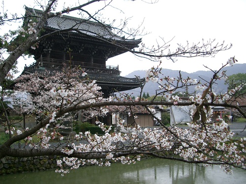 清涼寺（京都府京都市右京区）_c0219820_1583072.jpg