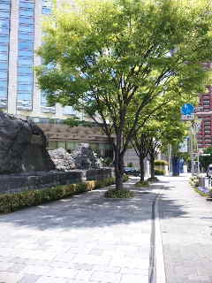 e0177824_2323718.jpg