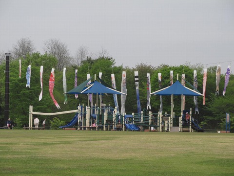 e0202031_2202829.jpg