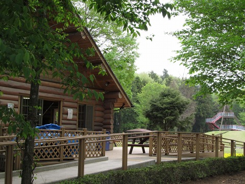 e0202031_225415.jpg