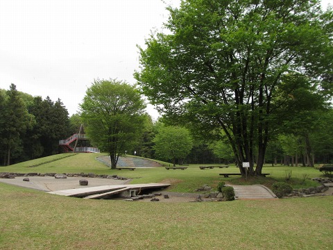e0202031_2273064.jpg