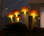 f0108133_0163594.jpg