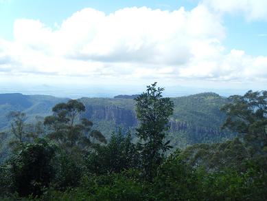 d0139138_5443564.jpg