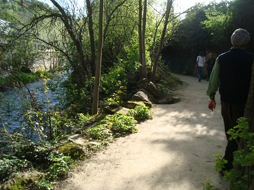 e0120938_2311157.jpg