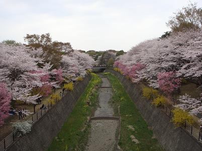 c0146040_1840273.jpg
