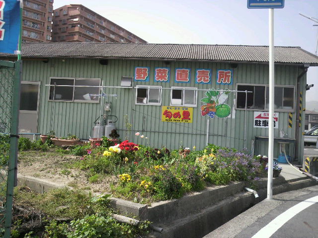 e0060542_13403061.jpg