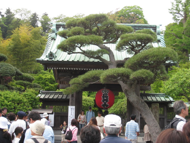 由比ヶ浜大通り散策その②【長谷寺～御霊神社～成就院】_d0175543_22105375.jpg