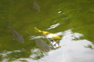 e0228147_23112022.jpg