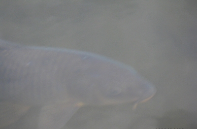 e0228147_2312667.jpg