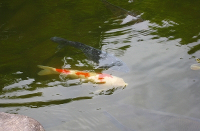 e0228147_231575.jpg