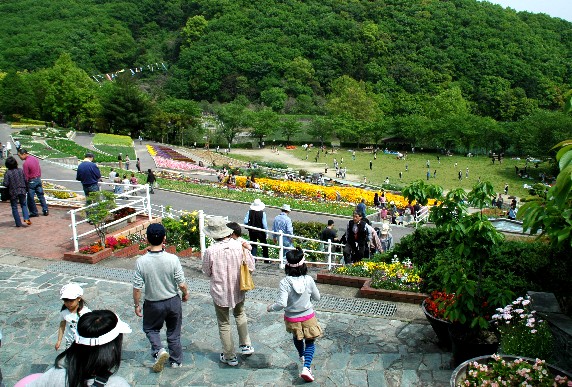 　　和歌山県植物公園緑花センター　　１４年前の写真です。_b0093754_23351741.jpg