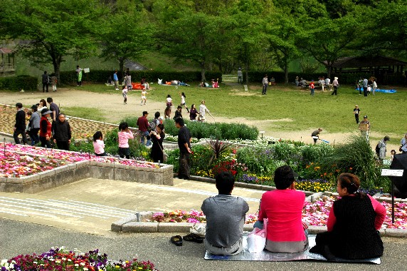 　　和歌山県植物公園緑花センター　　１４年前の写真です。_b0093754_23353187.jpg
