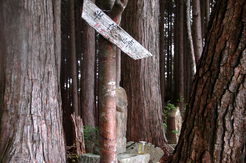 三ツ森山_c0024254_8361763.jpg