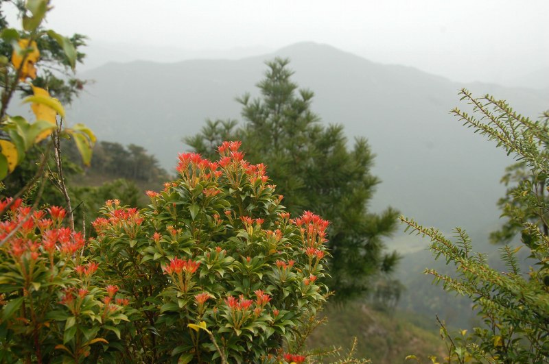 三ツ森山_c0024254_8391625.jpg