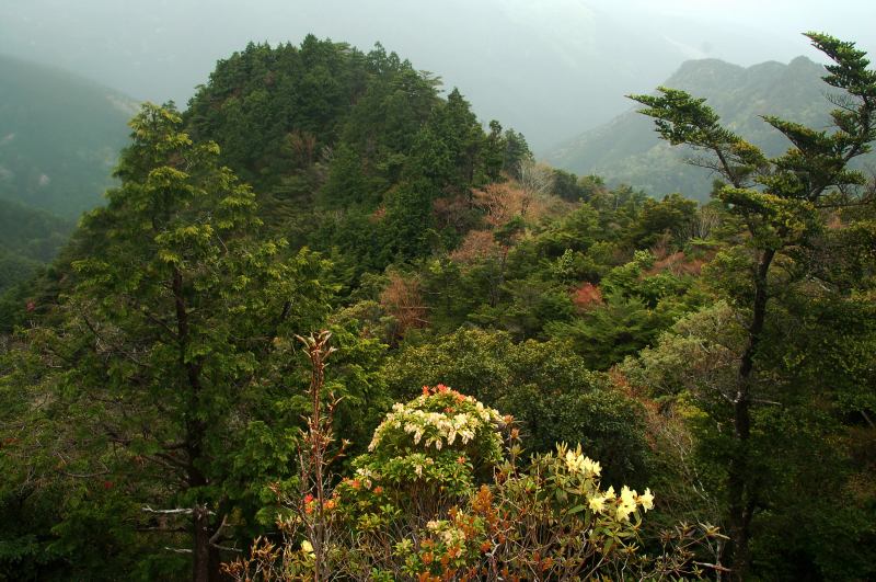三ツ森山_c0024254_8394019.jpg