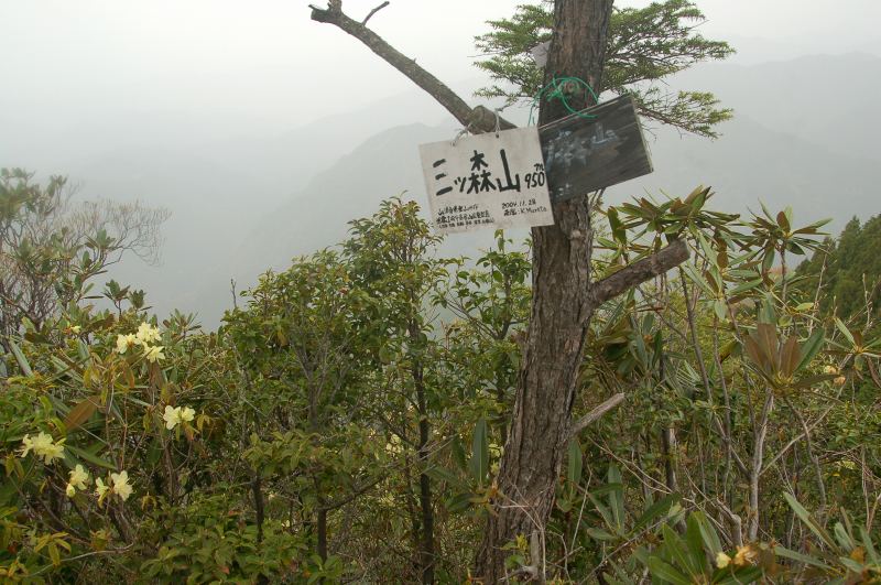 三ツ森山_c0024254_8441024.jpg