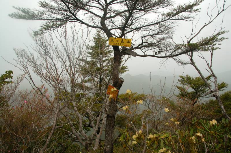三ツ森山_c0024254_8444389.jpg