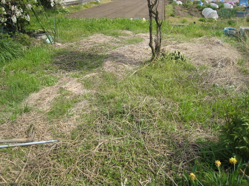 e0121558_21374845.jpg