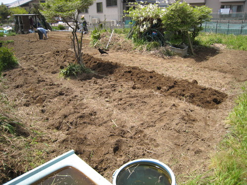 e0121558_21382517.jpg