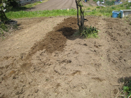 e0121558_2138618.jpg