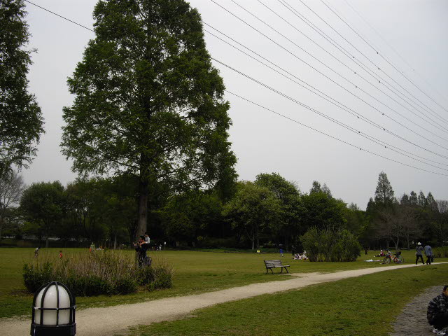 d0116059_17452141.jpg