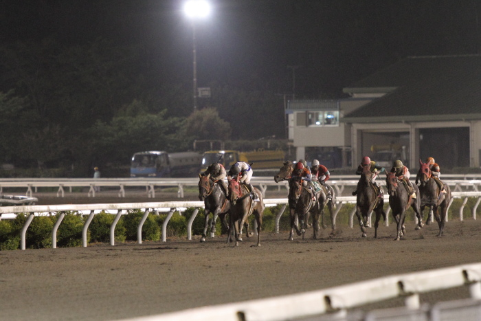 2011年4月30日（土） 高知競馬 8R C2-2_a0077663_7413318.jpg