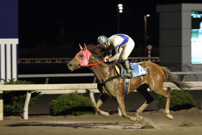 2011年4月30日（土） 高知競馬 8R C2-2_a0077663_7415085.jpg