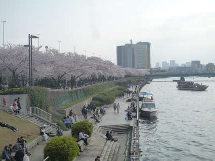 隅田川　お花見散歩_d0029066_23341598.jpg