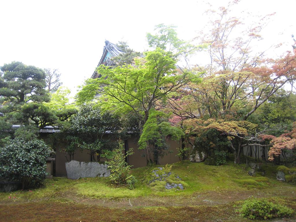 奥嵯峨_f0205367_1653685.jpg