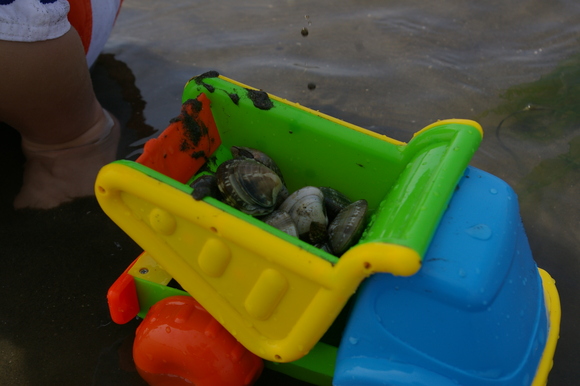 潮干狩りPart 1/shellfish gathering on a beach, part1_a0186568_001744.jpg