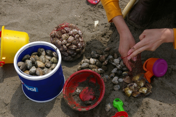 潮干狩りPart 1/shellfish gathering on a beach, part1_a0186568_012276.jpg
