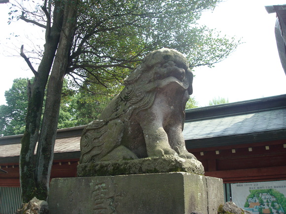 a0186568_17452484.jpg
