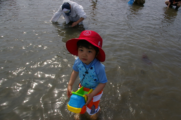 潮干狩りPart 1/shellfish gathering on a beach, part1_a0186568_23593957.jpg