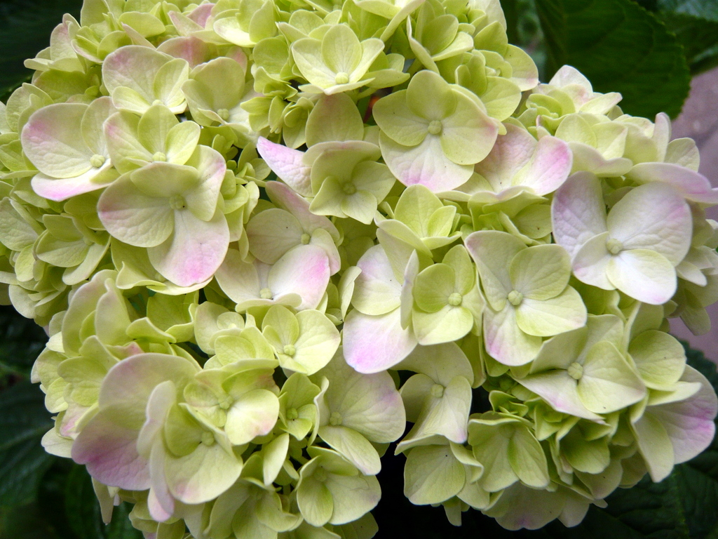 f0178278_1164020.jpg