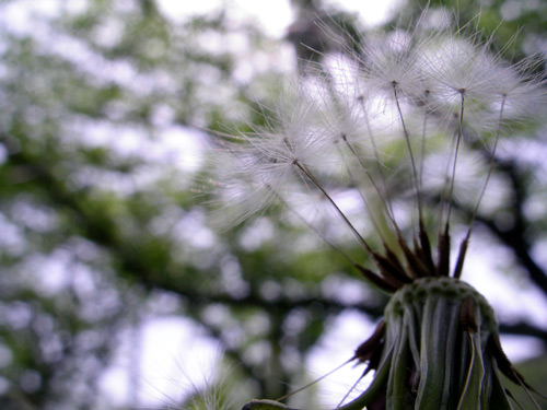 a0013879_13215277.jpg