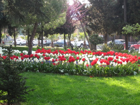 春の公園_f0058691_17295172.jpg