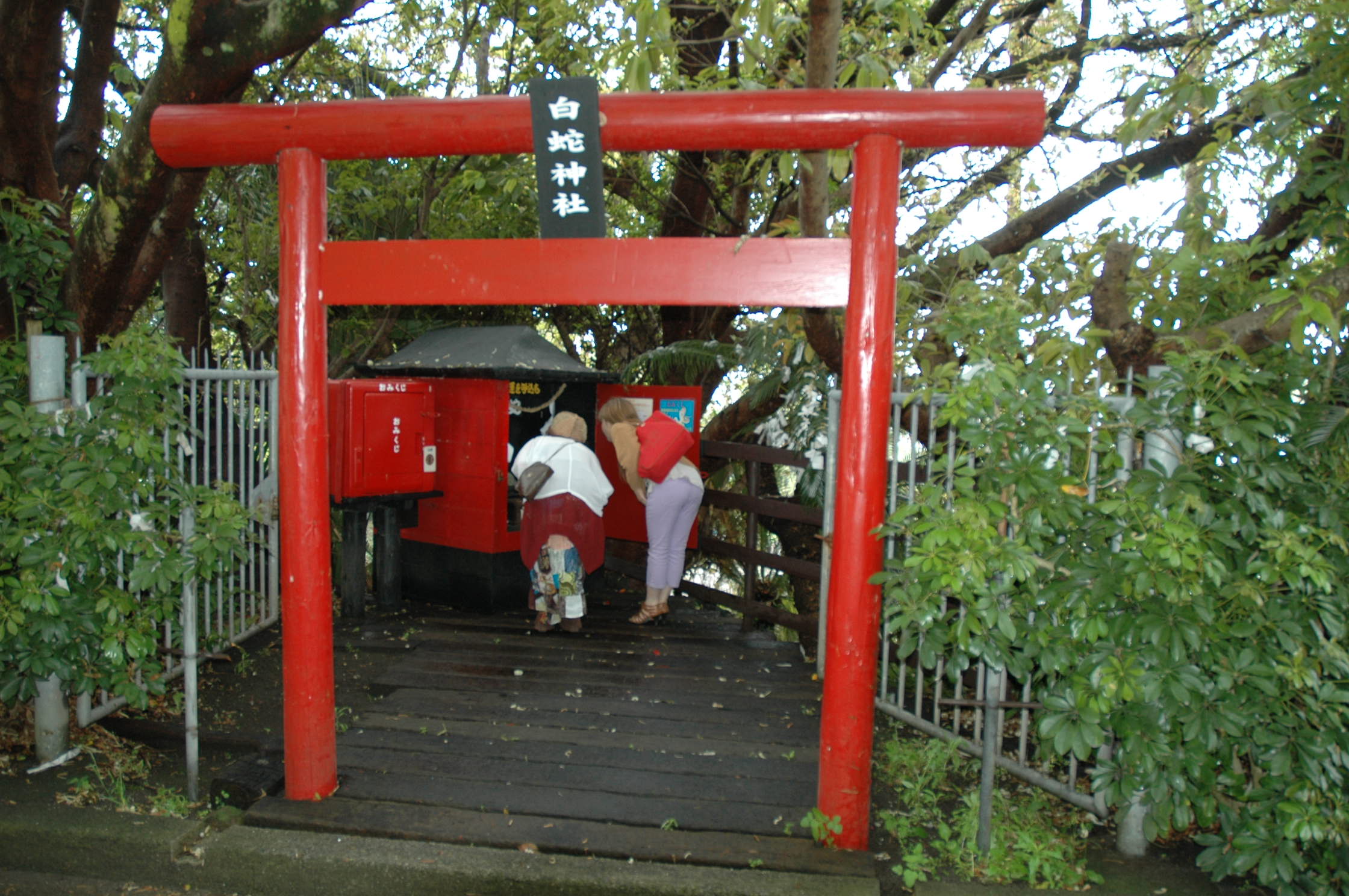 f0236391_1381278.jpg