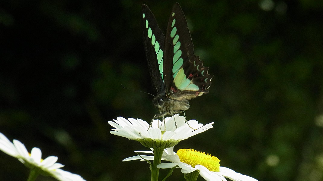 a0152692_1832443.jpg