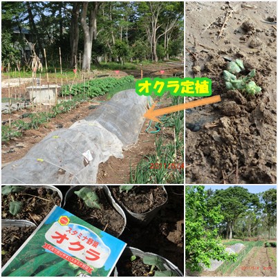 名鉄ハイキング　春満開！　つつじ咲くふるさと公園_b0205192_16235168.jpg