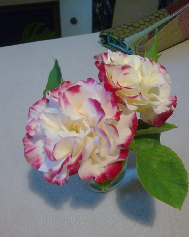 f0139994_1648337.jpg