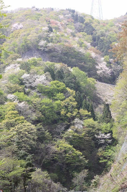 f0163298_20345082.jpg