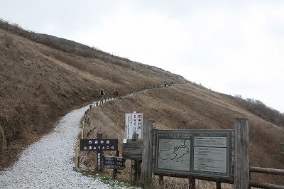 f0163298_20544920.jpg