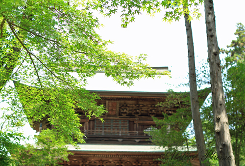 e0154202_11451282.jpg