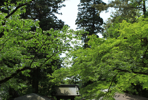e0154202_11452654.jpg
