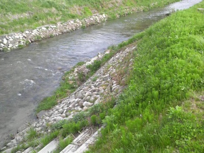 f0082402_2234115.jpg