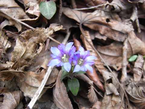 f0187402_20202419.jpg
