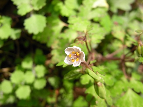 f0187402_20282624.jpg