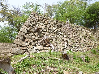 f0197504_631693.jpg